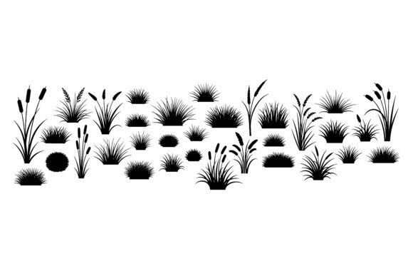Silhouettes of Various Grasses