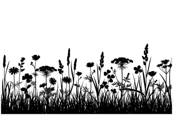 Silhouettes of Wildflowers and Grass