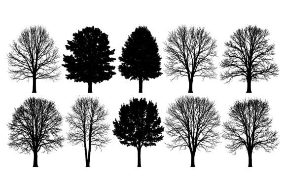 Trees with and Without Leaves: A Visual Resource for Design, Storytelling, and Strategic Communication