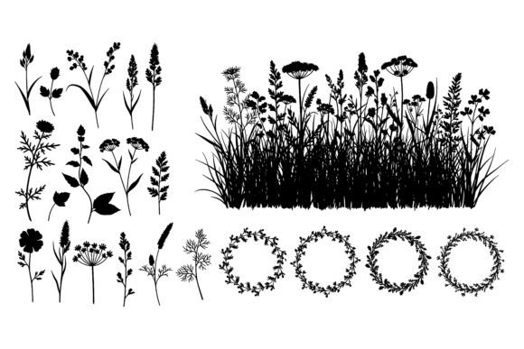 Various Plants and Floral Wreaths